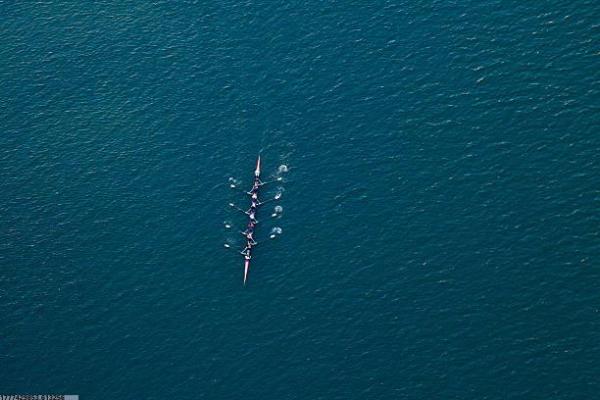 你最擅长的体育项目有哪些？(图1)